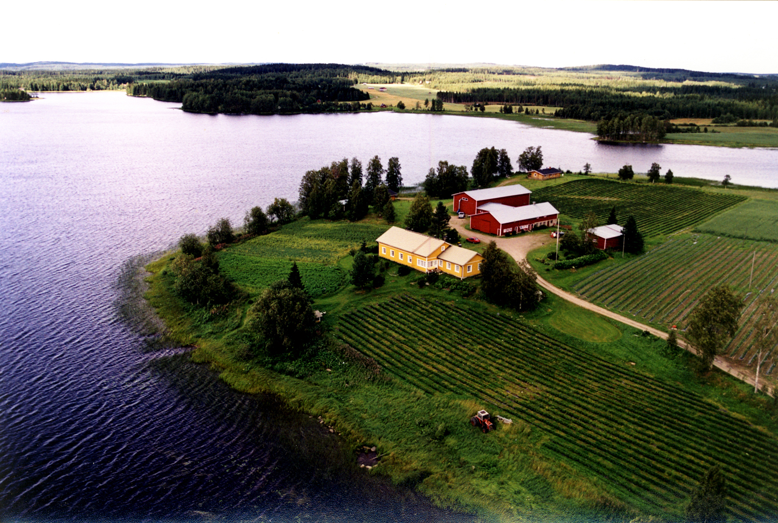 2002 Ilmakuva Lohkoniemestä