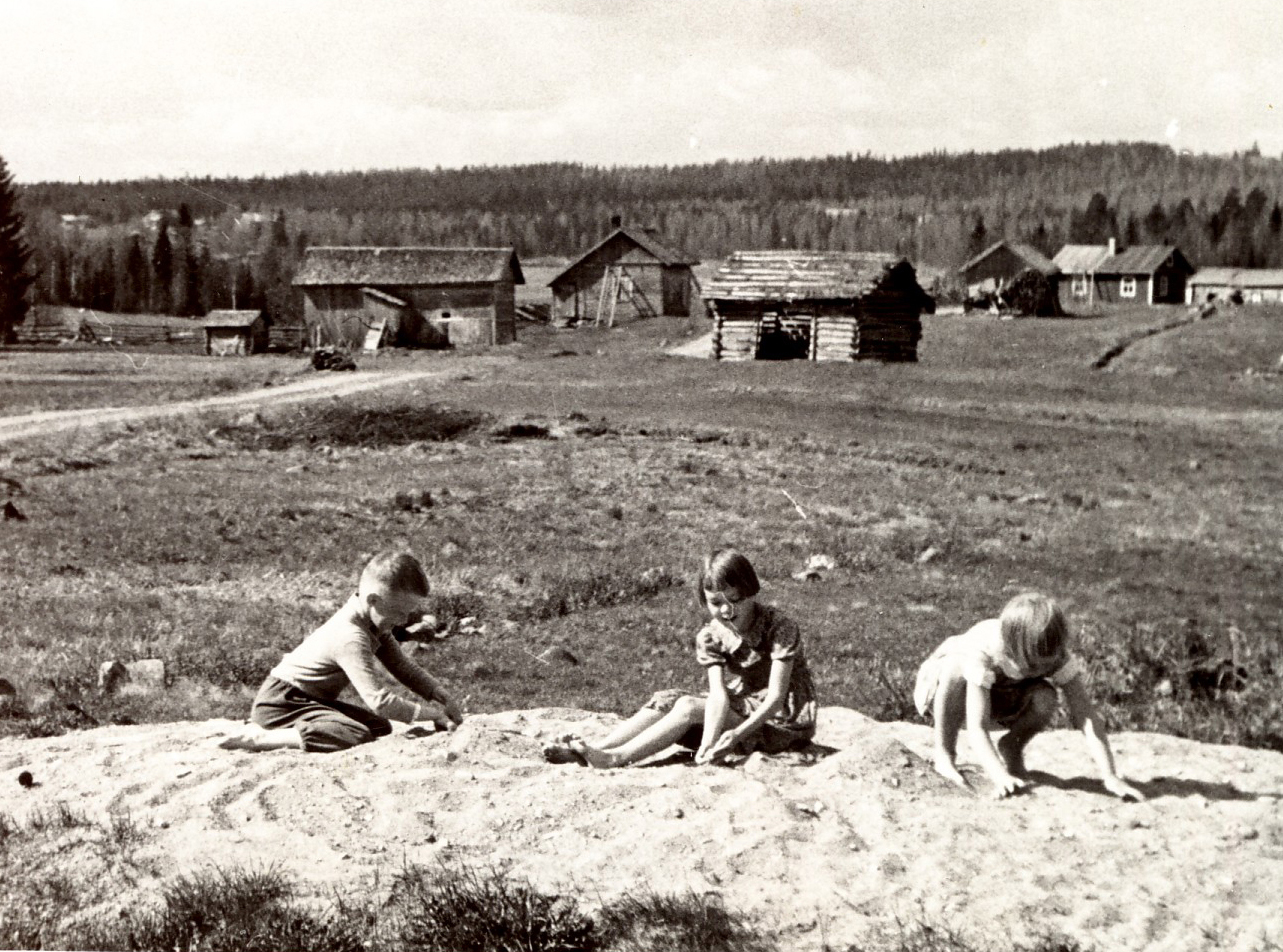 1953 Pellikan pihasta