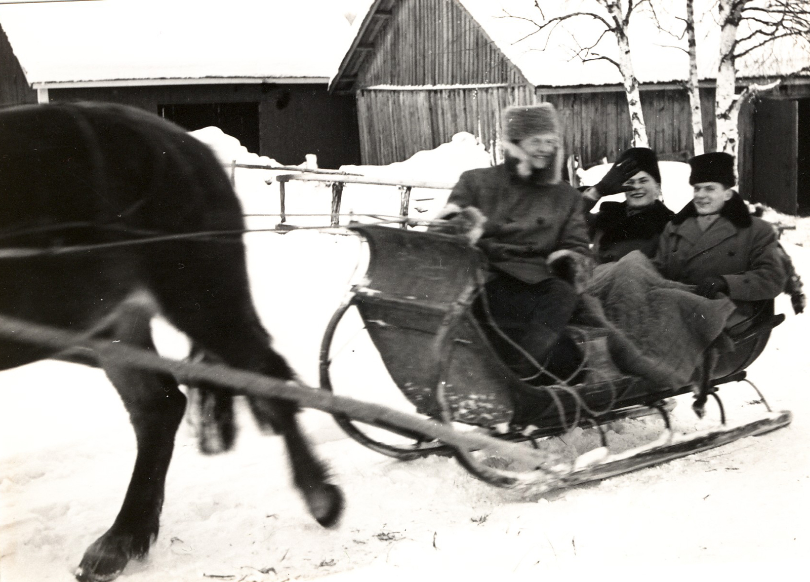 1948 Erkki reen ohjaksissa