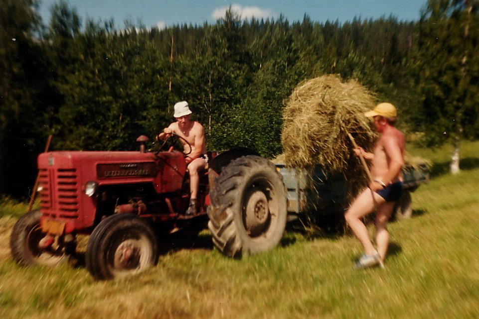 1981 Heinäntekoa