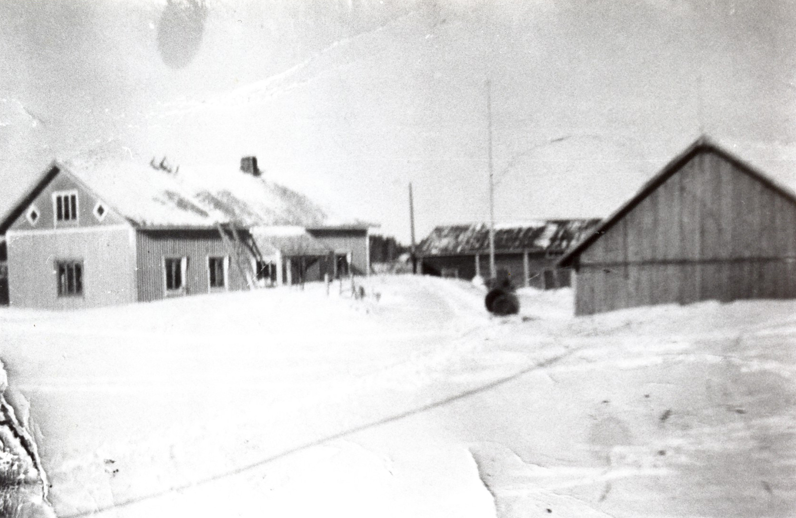 1955 Talvinen kuva pihalta