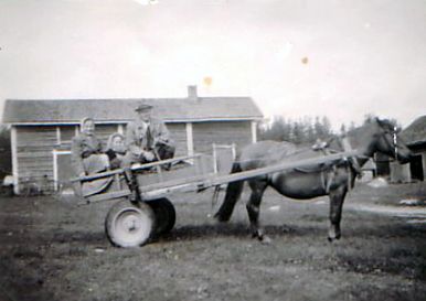 1952 Raila-tamma
