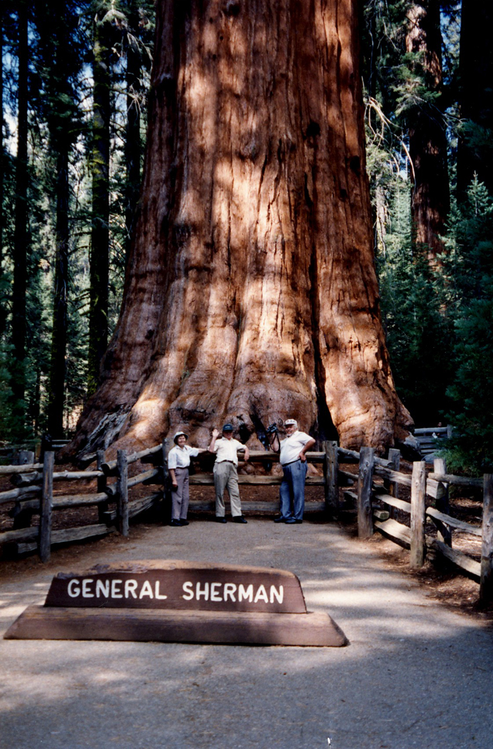 1992 Eino serkkunsa Anja Simosen kanssa maailman suurimman puun vierellä Kaliforniassa. Einon serkku Anja os. Kärkkäinen ja Osmo Simonen ovat asuneet Los Anglelesissa 1950-luvulta alkaen.
