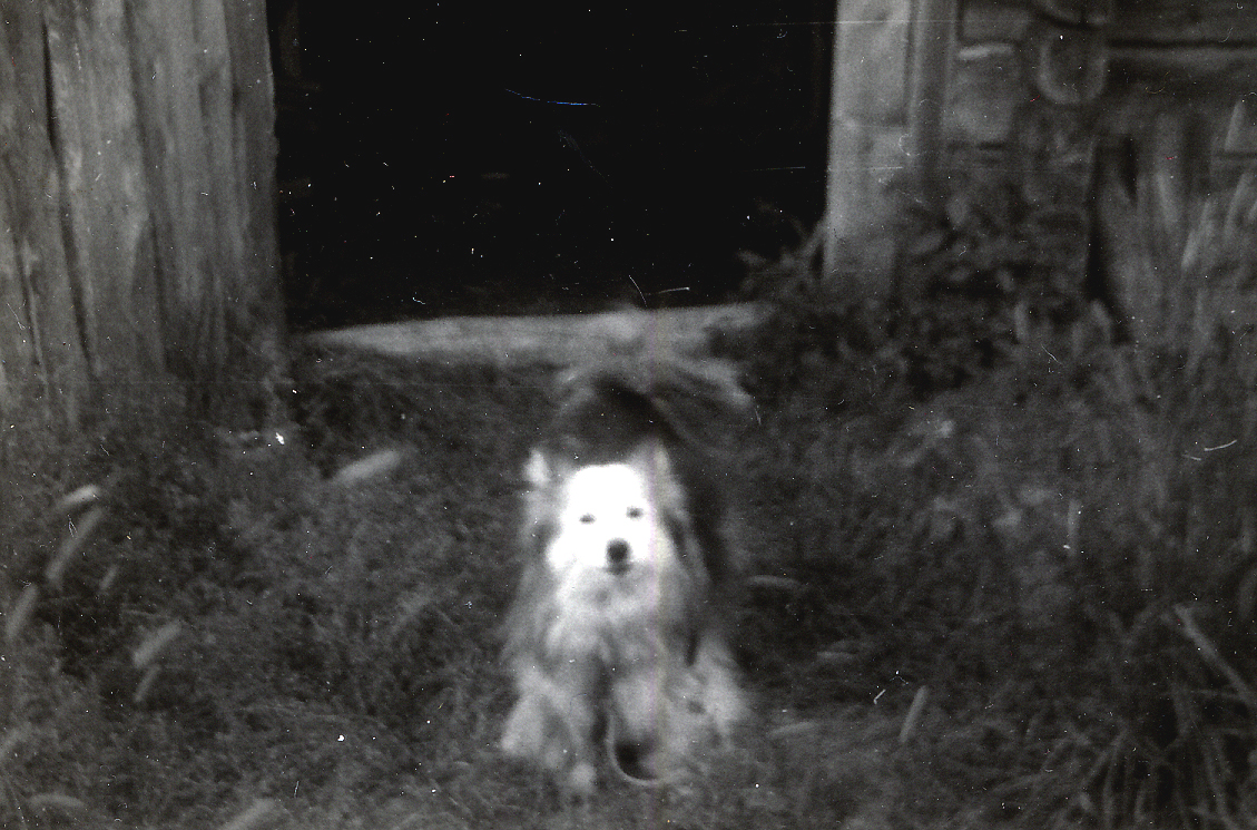 1960 Ponssen jälkeläinen