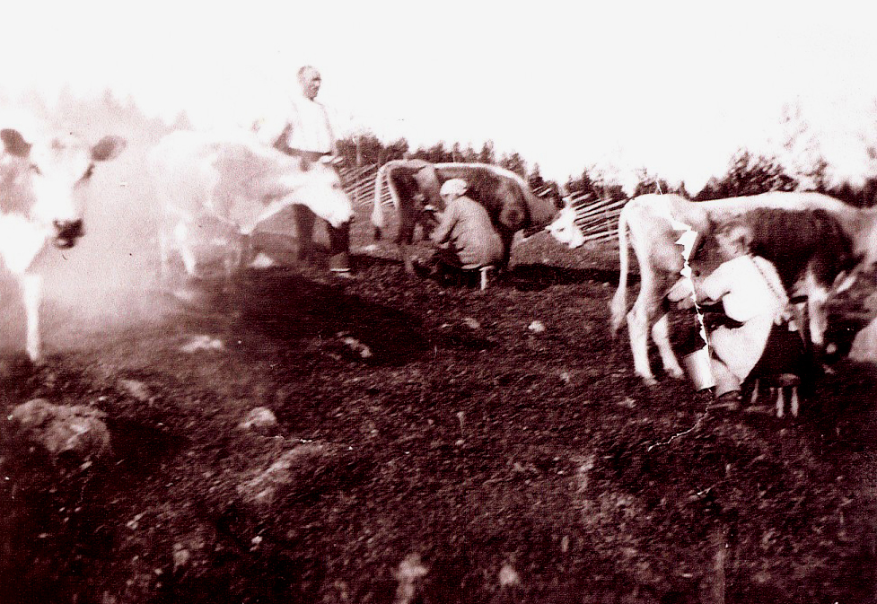 1939 Lehmihaassa