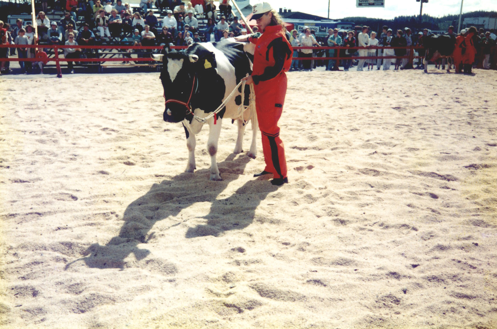 1990 Maatalousnäyttely