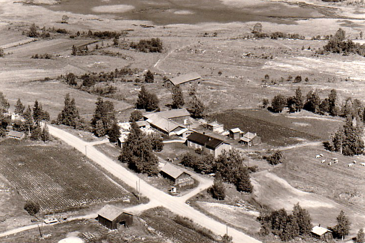 1969 kesäpäivä Harjussa. Menossa navettaremontti, oli erittäin kuiva kesä, jonka näkee perunamaasta kuvan vasemmassa alareunassa.