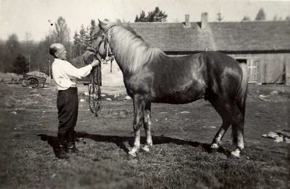 1960 Otto ja Jori-ori