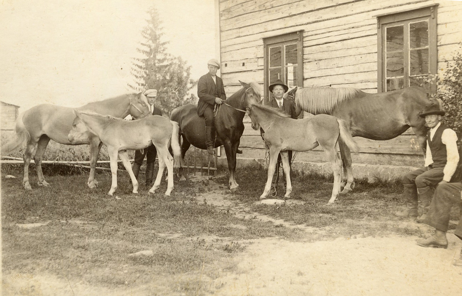 1920 Eljas - pojat vas. Otto, Santeri ja Eljas