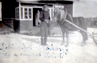 1941 Ahingon talon pihassa hevosen kanssa