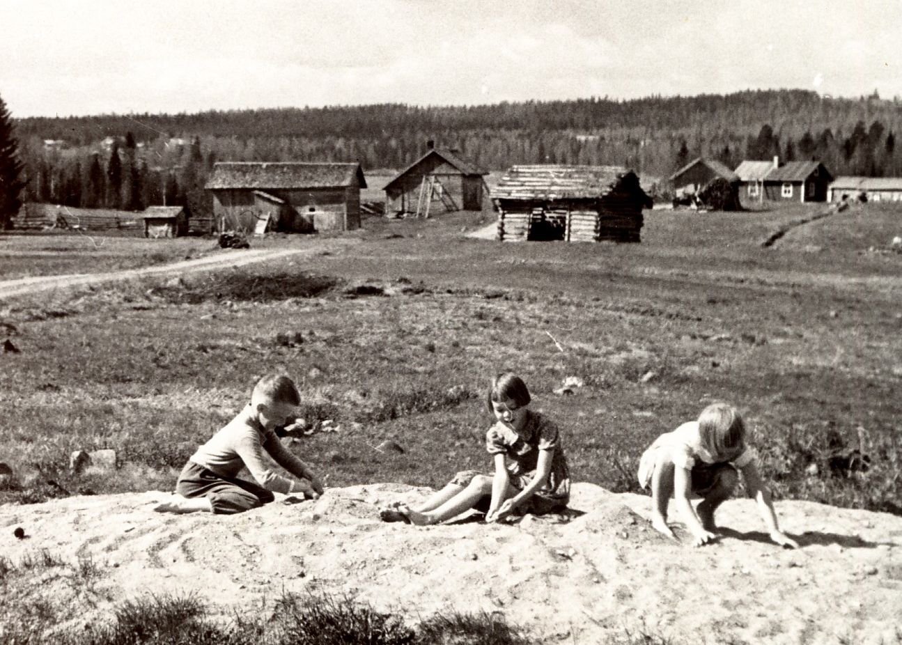 1953 Pellikan pihasta