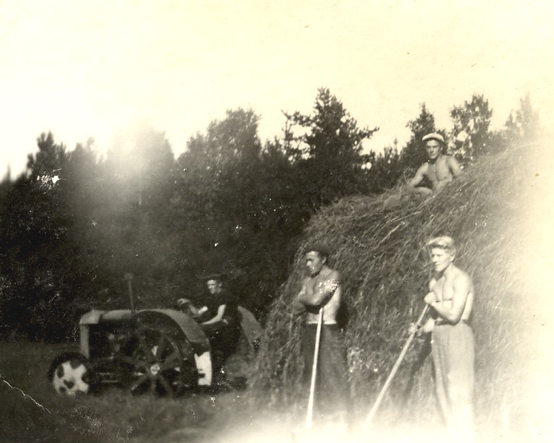 1945 Heinäpelto Nikolassa