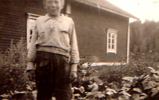 Kotitalon Päivärinteen edessä otettu kuva, jossa kessutarha Manun takana v.1926.
Tuolloin kasvatettiin tupakkaa omiin tarpeisiin ja myyntiin.