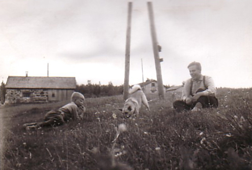 1965 Esko, koira ja poika pellolla