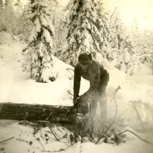 1960 Metsätöissä