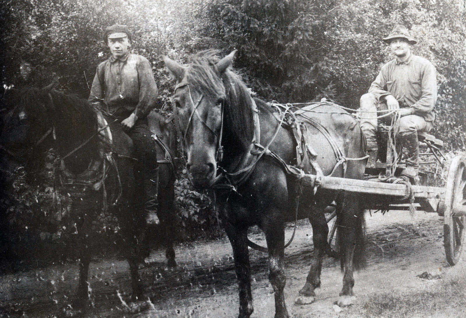 Vidgrenin poikia hevosilla