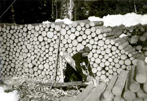 1955 pöllien teossa