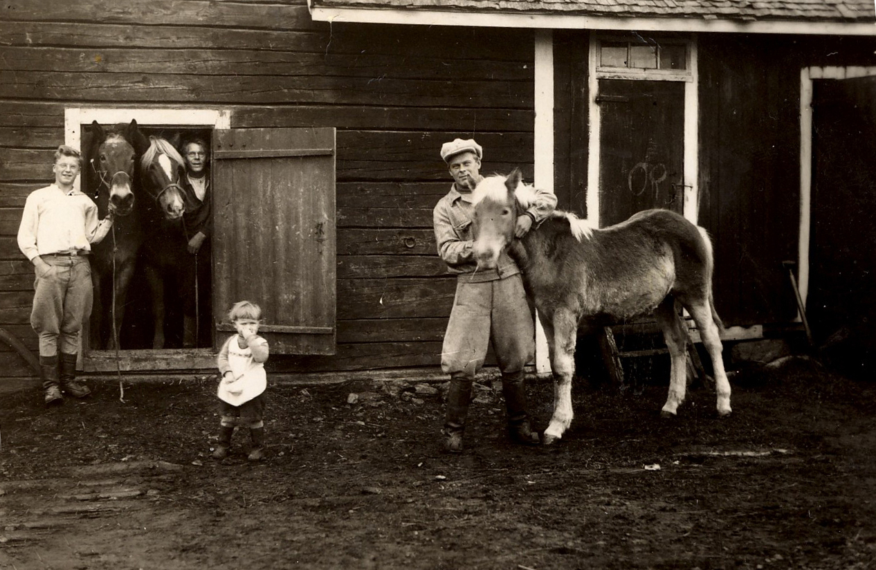 1937 Hevoset tallin edessä