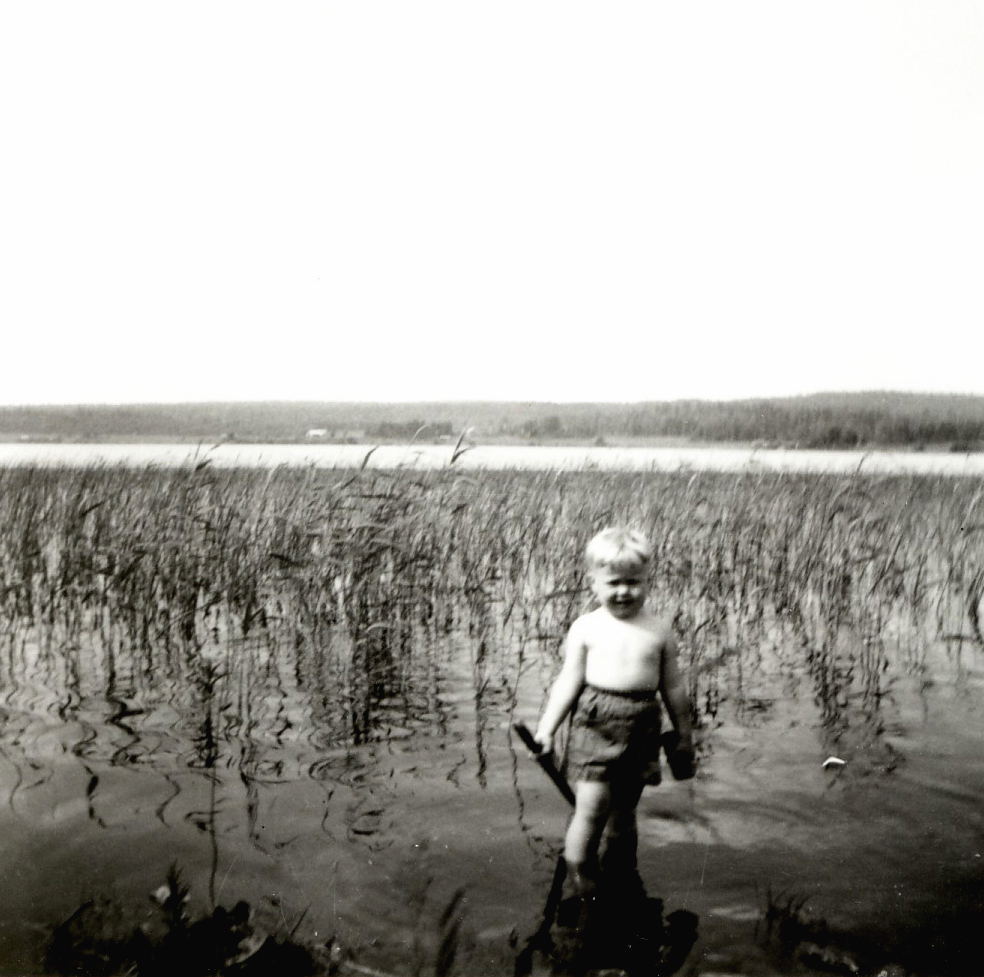 1955 Palosenjärven Hyttiniemestä
