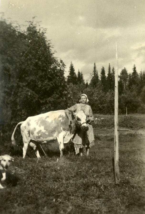 1950 Hilja, Kestikki ja Hoppu-koira