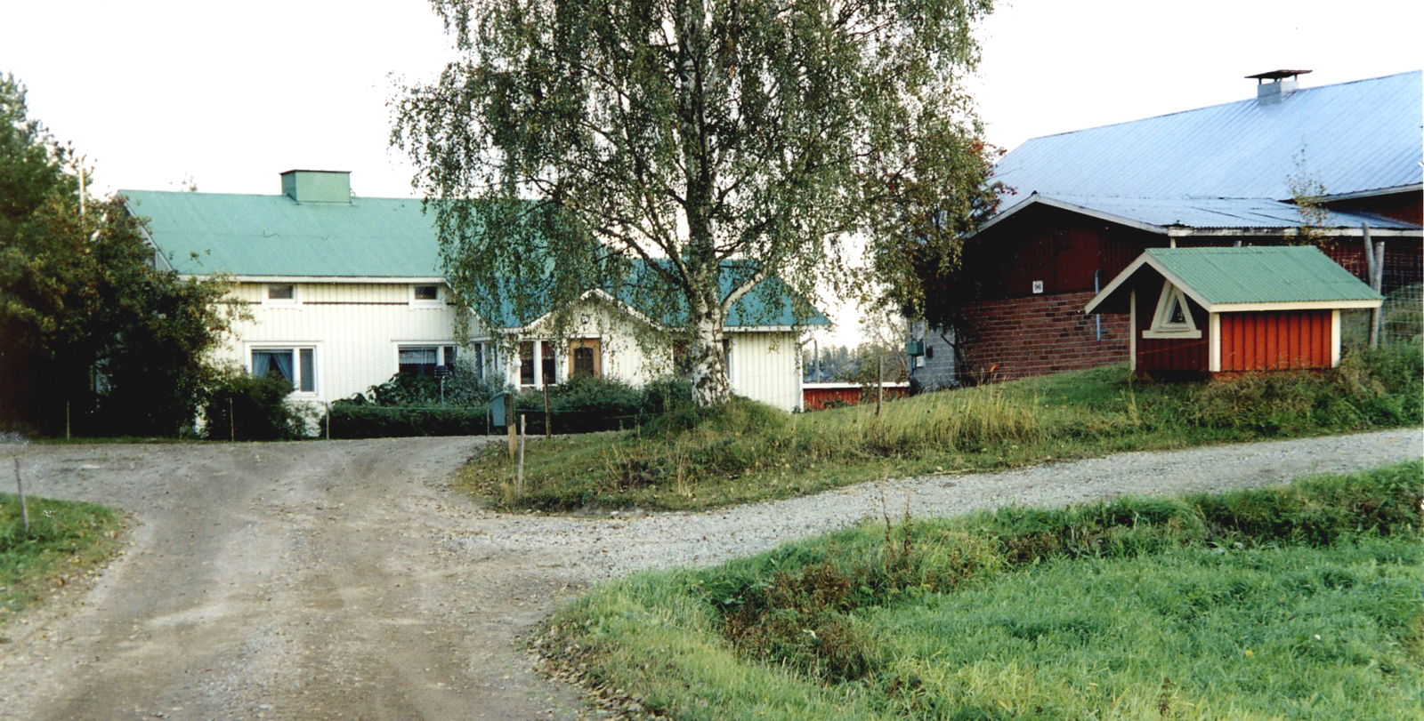 2001 Kotipiha kesällä