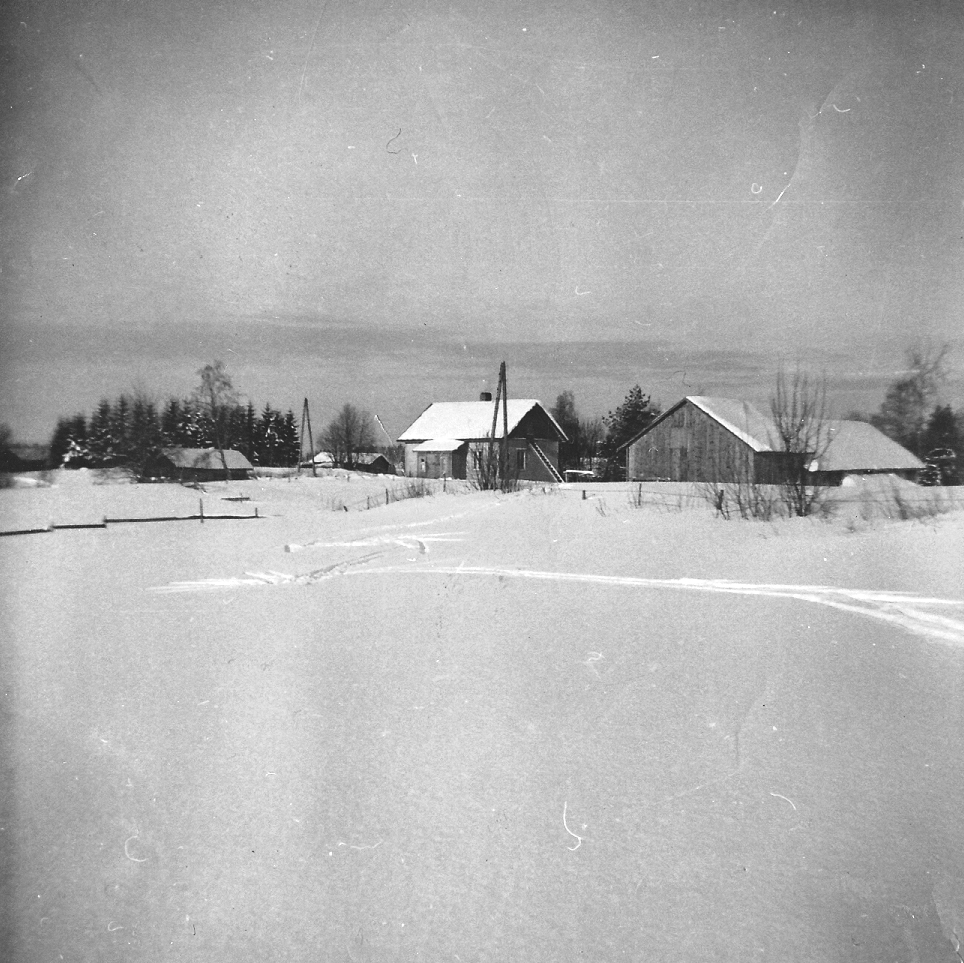 Talvikuva Eljaksen pihasta