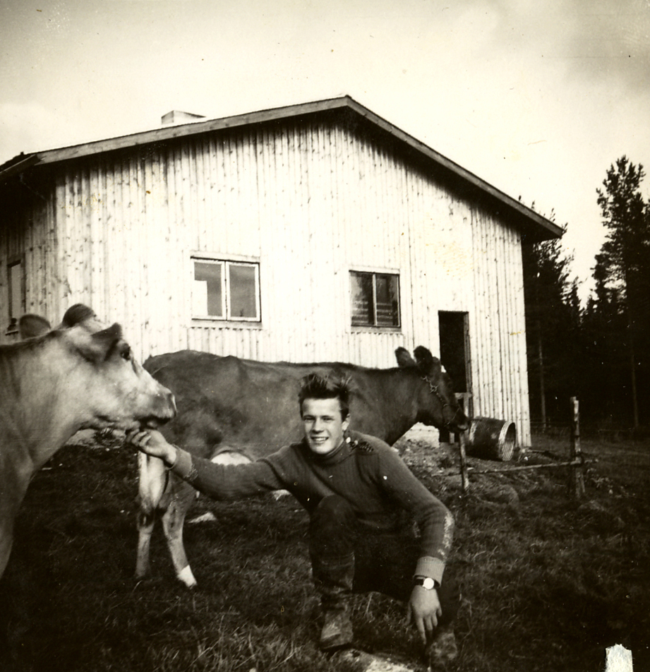 1965 Jorma lehmien kanssa