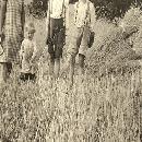 1943 Äiti ja pojat pellolla