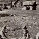 1953 Pellikan pihasta border=