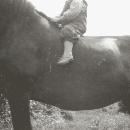 1955 Poika ratsailla