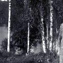 1960 Anni Tiikkainen Saarisilla