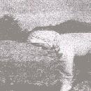 1942 Potunnostoa border=