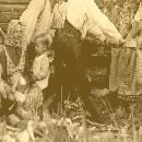 1937 Pärehöylä Saarisilla border=