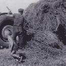 1960 Heinäntekoa border=