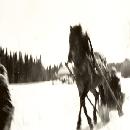 1957 Kirkkoajo Hela Kalle Reiss border=