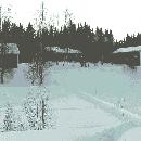 2005 Sahaviita border=