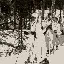 1943 Partio liikkumassa suksilla
 border=