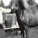 1945 Villen vaimo  Eeva ja Perho-tamma border=