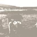 1961 Marja ja Raili lypsyllä Kaken ja Tertun hääpäivänä border=