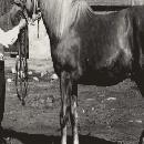 1960 Otto ja Jori-ori border=