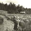 1965 Aini ja Jari pellolta tulossa border=