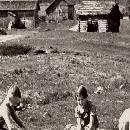 1953 Pellikan pihasta border=