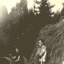 1945 Heinäpelto Nikolassa border=