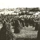 1955 Heinäseipäät Palopurolla border=