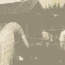1952 Hilja paistamassa lettuja Tienhaarassa