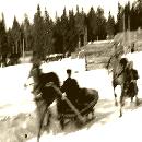 1950 Rekikisat kaupalla border=