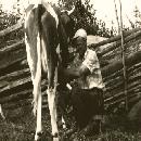 1960 Erkki ja Emma-lehmä