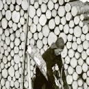 1955 pöllien teossa border=