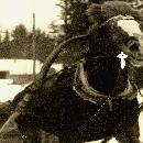 1960 Kirkkoajot, Menestys-ruuna border=