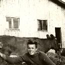 1965 Jorma lehmien kanssa